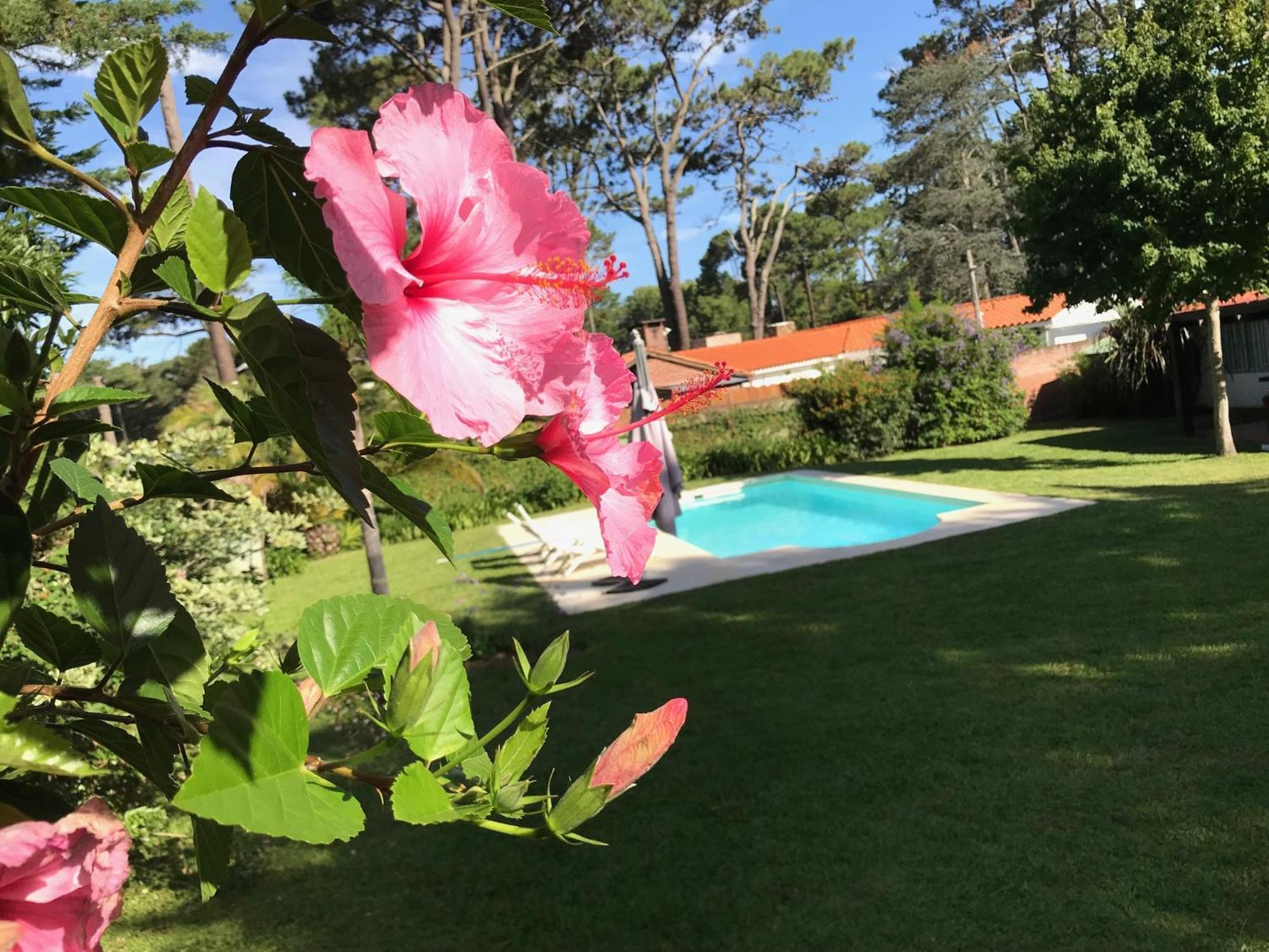 El Gauchito Villa Punta del Este Eksteriør bilde
